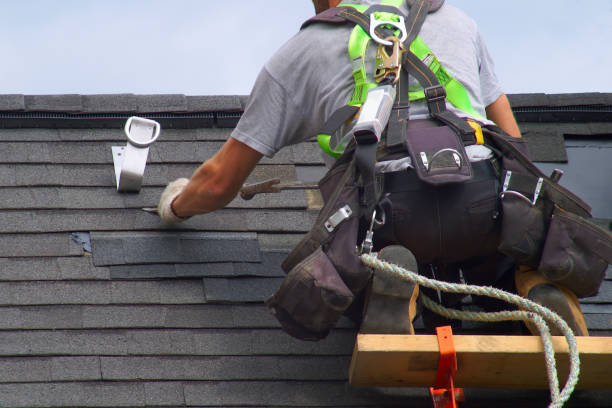 Best Roof Leak Repair  in North Fort Lewis, WA